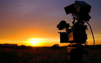 独家秘诀 商业广告如何拍才能更有趣？免费分享实用技巧