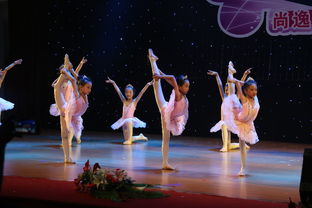 专业摄影摄像服务，定格新会最美瞬间